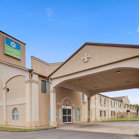 亚历山大机场贝斯特韦斯特必住酒店 亚历山德里亚 外观 照片